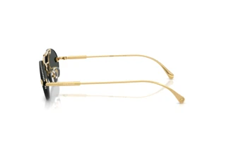 Vue latérale Versace VE2295 (100287)