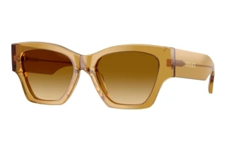 Vista frontale Versace VE4492U (53472L)