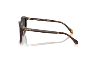 Seitenansicht Versace VE4493D (108/87)