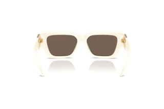 Vista posteriore Versace VE4497U (314/73)
