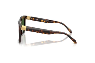 Seitenansicht Versace VE4498 (108/71)