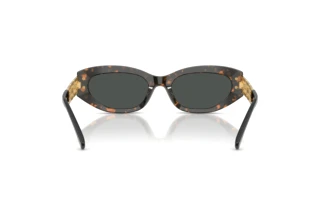 Rückansicht Versace VE4501 (552887)