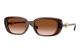 Versace VE4504D 533213 Brown GradientTransparent Brown