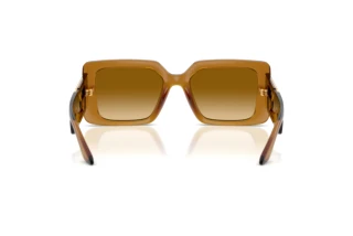 Vue arrière Versace VE4505U (53422L)