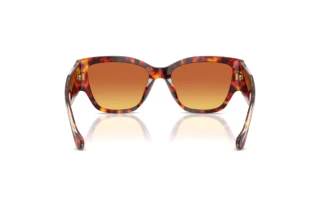 Vue arrière Versace VE4509U (5543T5)