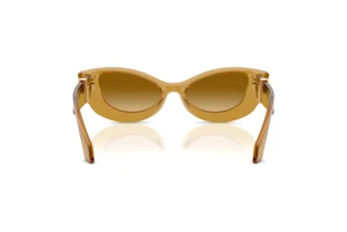 Rückansicht Versace VE4520U (53472L)