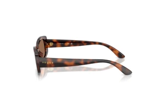 Seitenansicht Vogue Eyewear VJ2031 (271873)