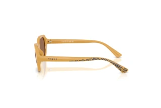 Vue latérale Vogue Eyewear VJ2035 (327373)