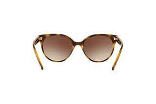 Rückansicht Vogue Eyewear VO5246S (W65613)