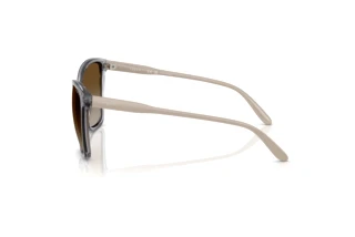 Seitenansicht Vogue Eyewear VO5520S (3099T5)