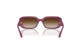 Vue arrière Vogue Eyewear VO5565S (312313)