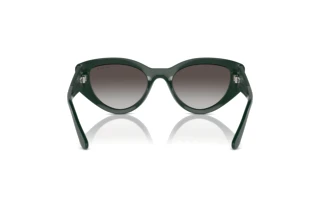 Vue arrière Vogue Eyewear VO5566S (31228G)