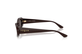 Vue latérale Vogue Eyewear VO5582S (225287)