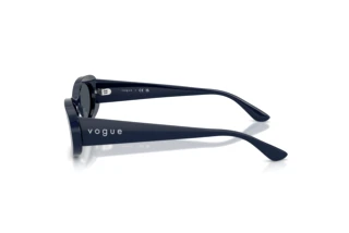 Seitenansicht Vogue Eyewear VO5582S (324087)
