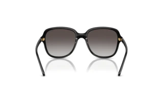 Rückansicht Vogue Eyewear VO5601S (W44/8G)