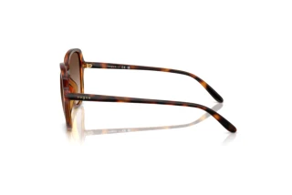 Seitenansicht Vogue Eyewear VO5601S (W65613)
