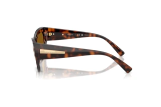 Vue latérale Vogue Eyewear VO5607S (271883)