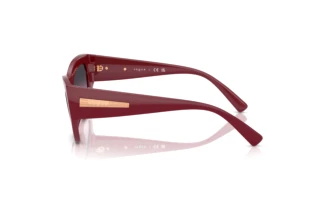 Vue latérale Vogue Eyewear VO5607S (287590)
