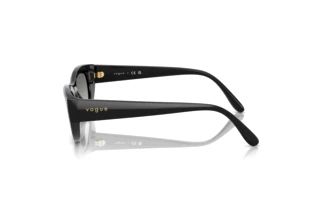 Seitenansicht Vogue Eyewear VO5616S (W44/11)