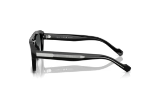 Seitenansicht Vogue Eyewear VO5620S (W44/T3)