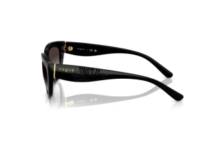 Seitenansicht Vogue Eyewear VO5629S (W44/8G)