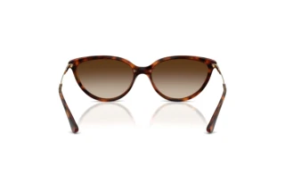 Rückansicht Vogue Eyewear VO5672S (W65613)