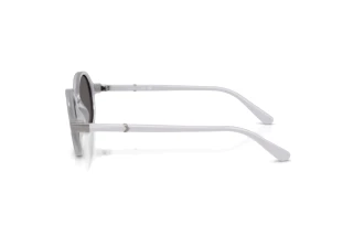 Seitenansicht Vogue Eyewear VO5692S (309887)