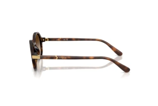 Vue latérale Vogue Eyewear VO5692S (W65613)
