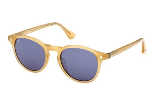 Vista frontale Web Eyewear WE0328 (41V)