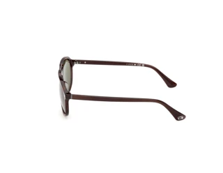 Seitenansicht Web Eyewear WE0394 (56N)