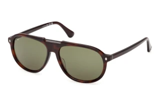Vorderansicht Web Eyewear WE0394 (56N)