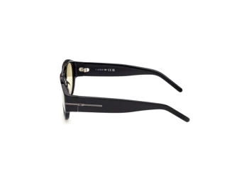 Vue latérale Web Eyewear WE0399 (01J)
