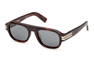 Vorderansicht Zegna EZ0304 (52A)