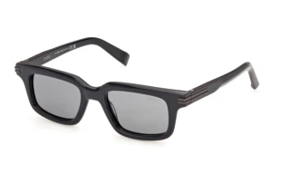 Vista frontale Zegna EZ0312 (20A)