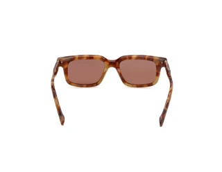 Vista posteriore Zegna EZ0312 (55E)