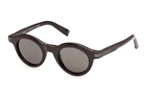 Vue de face Zegna EZ0313 (48D)