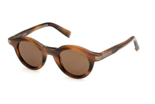 Vue de face Zegna EZ0313 (50E)