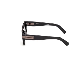 Vue latérale Zegna EZ0317 (05E)