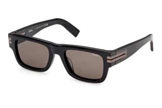 Vue de face Zegna EZ0317 (05E)