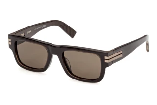 Vista frontale Zegna EZ0317 (50N)