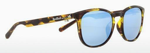 Lunettes de soleil Red Bull SPECT STEADY 005P