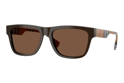 Sonnenbrille Burberry BE4293 425273