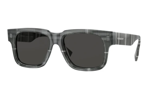 Sonnenbrille Burberry HAYDEN (BE4394 380487)