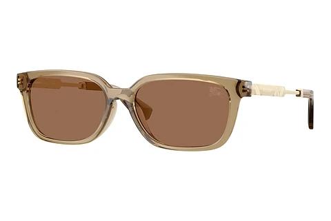 Sonnenbrille Burberry BE4481D 419873