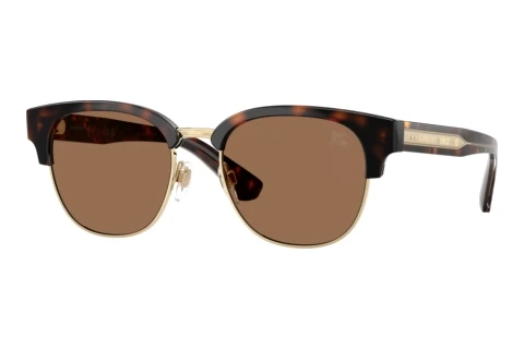 Sonnenbrille Burberry BE4485 420573
