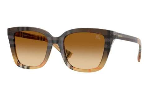 Sonnenbrille Burberry BE4487 420213