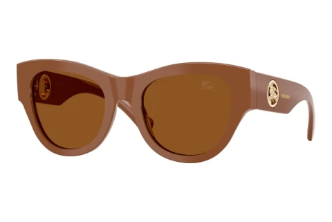 Sonnenbrille Burberry BE4491 422273