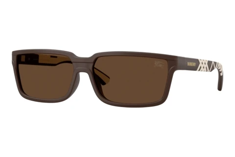 Sonnenbrille Burberry BE4495D 423473