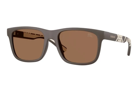 Sonnenbrille Burberry BE4499U 423473