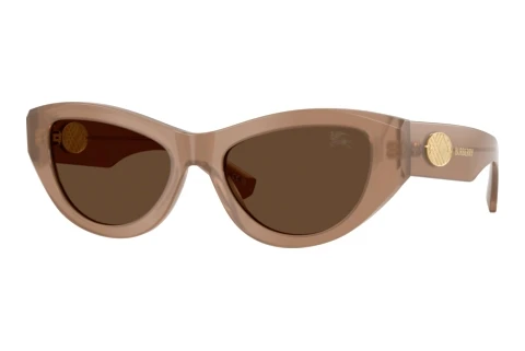 Sonnenbrille Burberry BE4502 425873